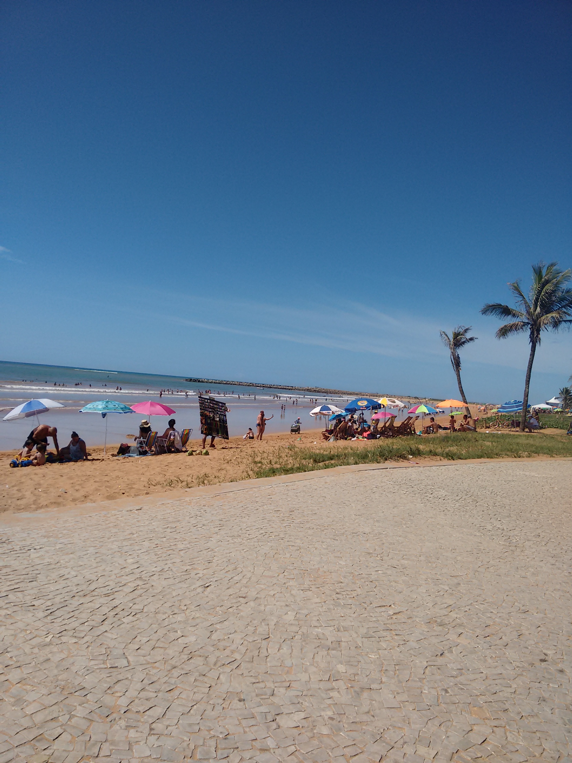 Dicas de destinos nacionais. Viagens para Praia do Forte e Ilha Bela .