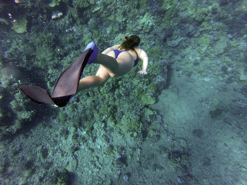 imagem-de-turista-praticando-mergulho